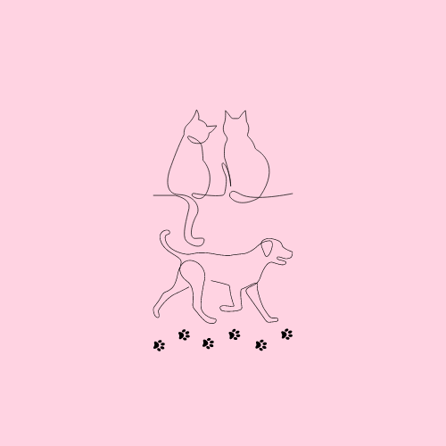 Mesilande (Pet Reading)